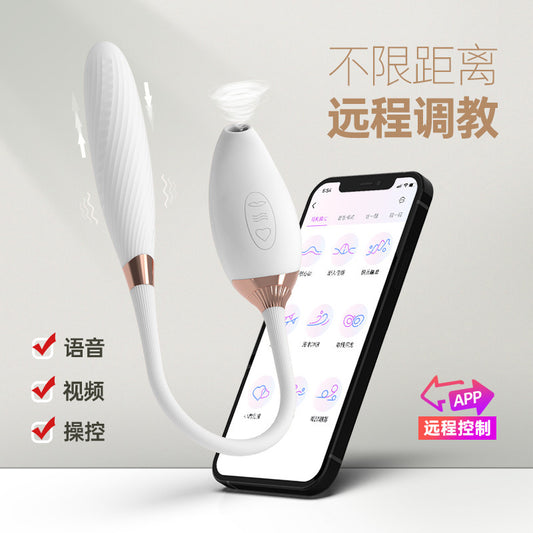 Double-head APP Remote Control Vibrators